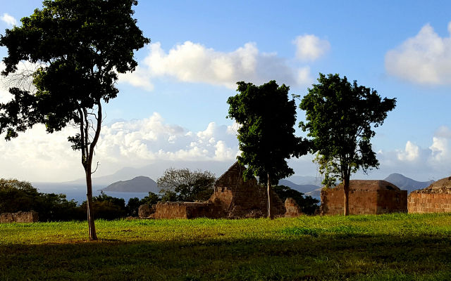 MBクラッシャージャパン製品画像